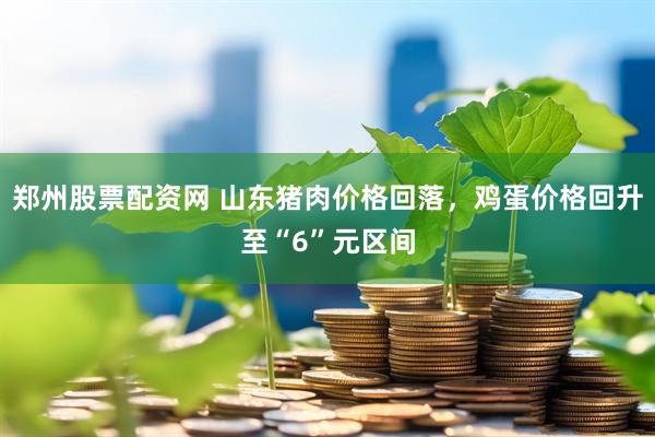 郑州股票配资网 山东猪肉价格回落，鸡蛋价格回升至“6”元区间