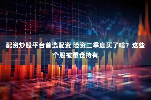 配资炒股平台首选配资 险资二季度买了啥？这些个股被重仓持有
