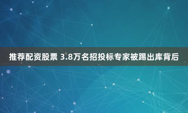 推荐配资股票 3.8万名招投标专家被踢出库背后