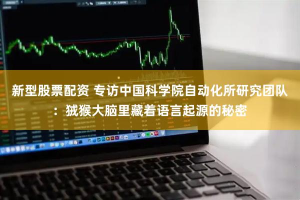 新型股票配资 专访中国科学院自动化所研究团队：狨猴大脑里藏着语言起源的秘密